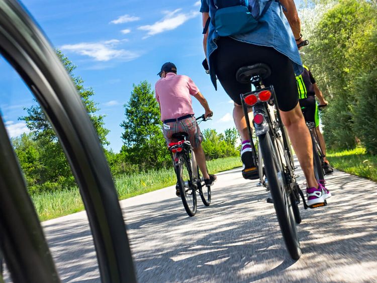 Eine Gruppen von Radlerinnen und Radlern bei einer Radtour im Sommer
