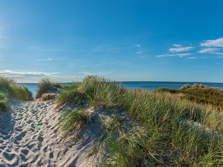 Dünen auf der Halbinsel Fischland-Darß-Zingst an der Ostsee