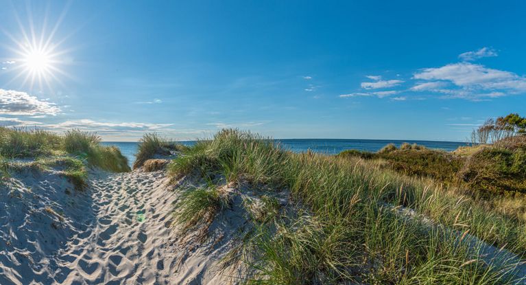 Dünen auf der Halbinsel Fischland-Darß-Zingst an der Ostsee